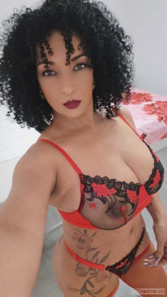 Foto 2 - Canela Canela Latina - Heisses Vergnügen